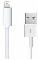 APPLE - LIGHTTNING to USB CABLE
